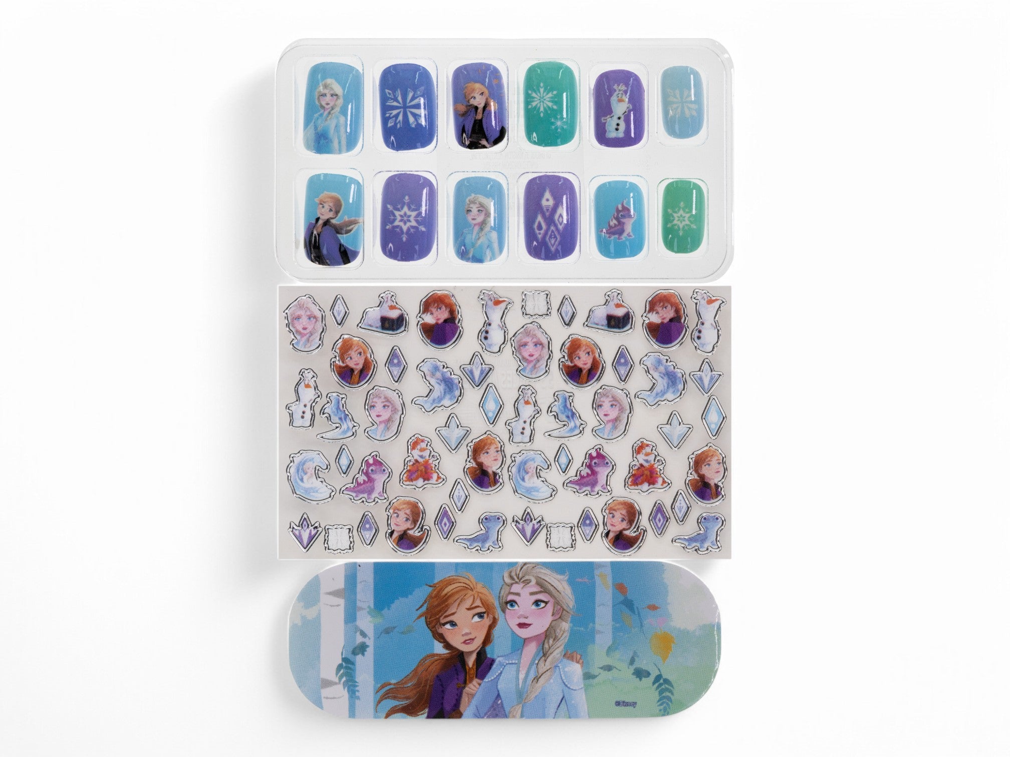 Frozen Nail & Sticker Set