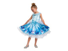 4-6 Kids Cinderella Costume